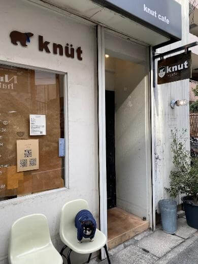 knut café(西宮市)